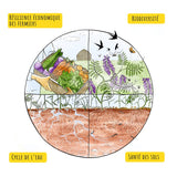 Quebec Grown Pumpkin Seeds - Unroasted-unsalted