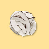 CLASSIC- Chips de noix de coco biologiques