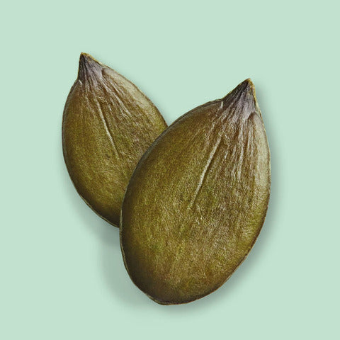 Quebec Grown Pumpkin Seeds - Unroasted-unsalted