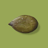 LÖKA - Roasted pumpkin seeds SEA SALT