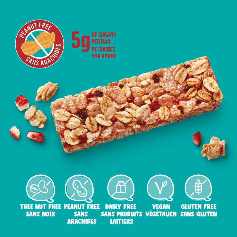 Organic Chewy Granola Bar - Berry Blast