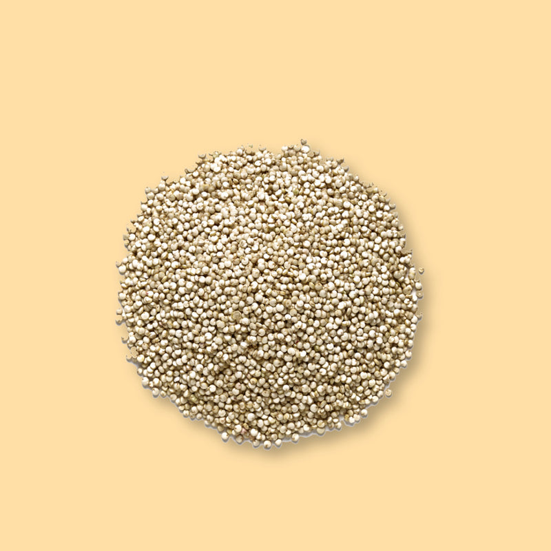 Quinoa blanc biologique