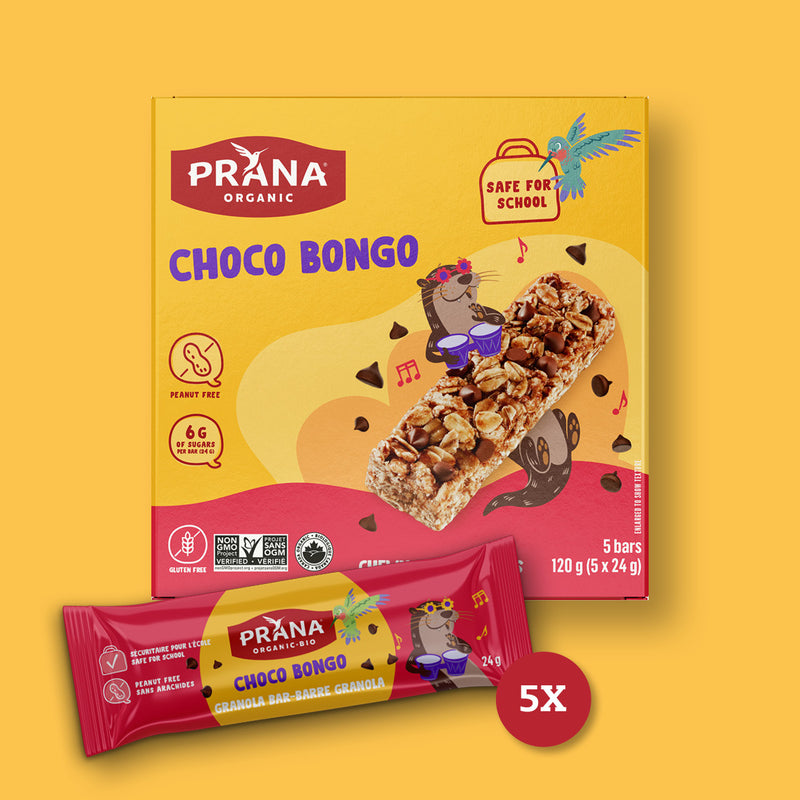 Organic Chewy Granola Bar - Choco Bongo